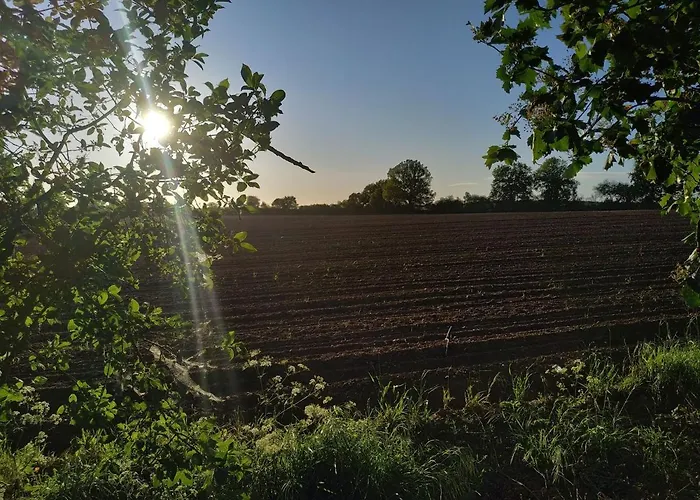 De La Breneliere Lägenhet Ciriere